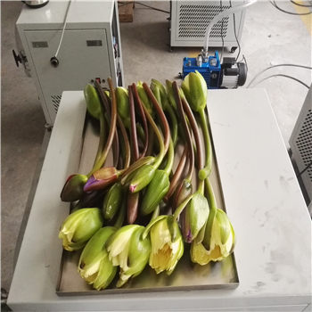 15482078526464.jpg IMG_20180128_095701.jpg