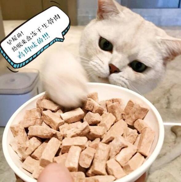 15916642842730.jpg 凍干貓糧.jpg