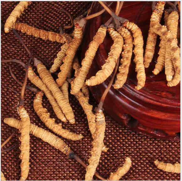 15960860396044.jpg 圖片1.jpg