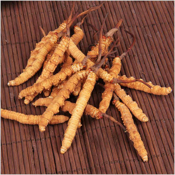 15960860579946.jpg 圖片2.jpg