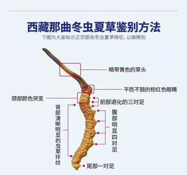 15960860761109.jpg 圖片3.jpg