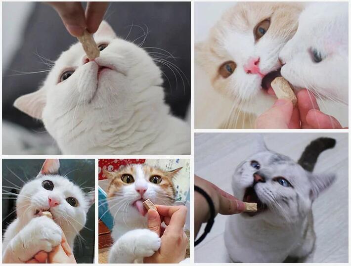 16010000341220.jpg 貓糧.jpg