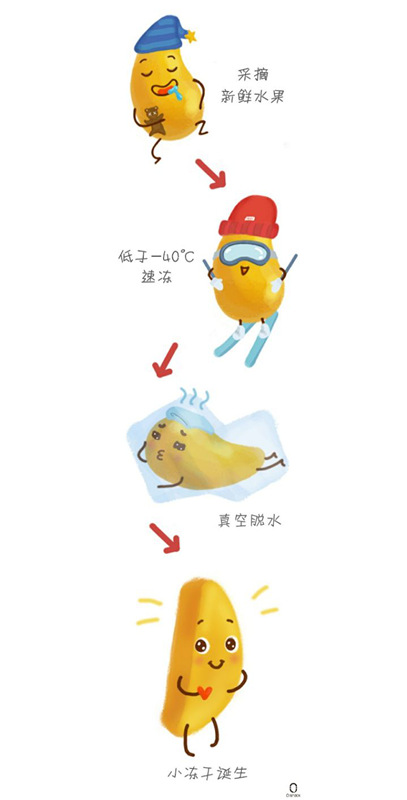 16061880448056.jpg 凍干原理1.jpg