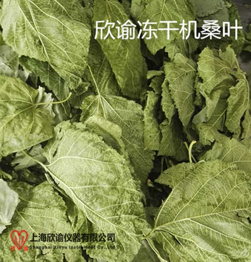 16109353392056.jpg 桑葉凍干機(jī).jpg