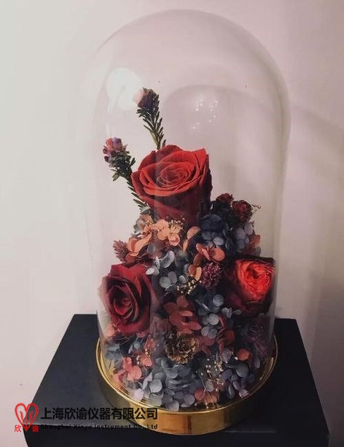 16202690456995.jpg 永生玫瑰.jpg